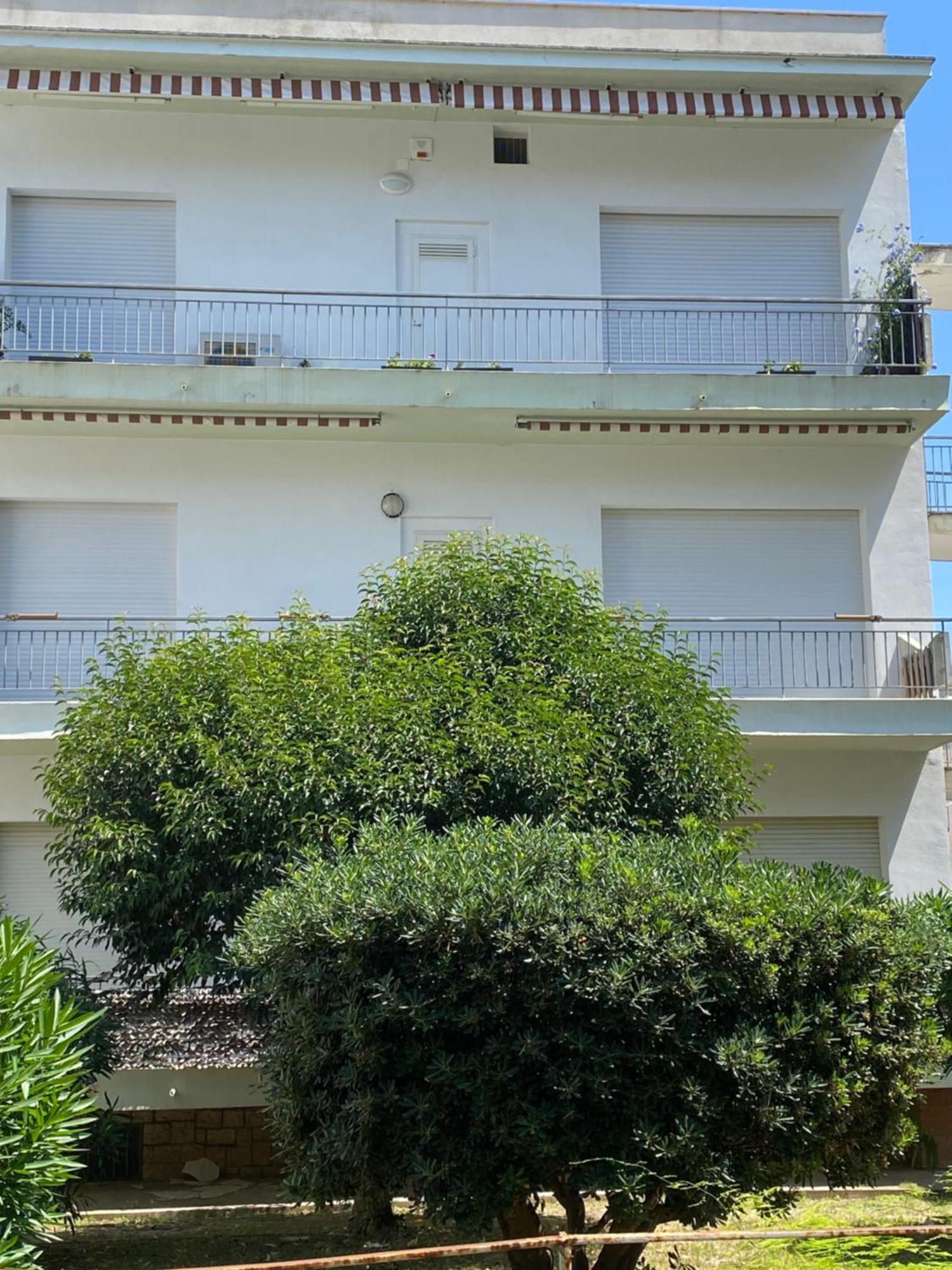 Viale39 Apartment แตร์ราชินา ภายนอก รูปภาพ